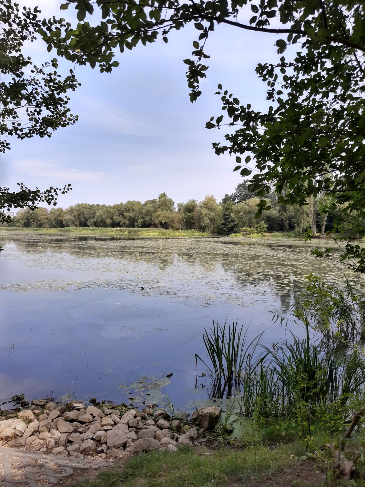 Mieszknie 1 pokojowe z ogrodem, zielonej/ ul.Krakowska, Krzyki Wrocław Wrocław - zdjęcie 10