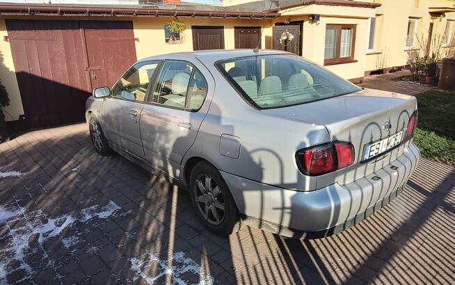 Sprzedam Dzigorzew - zdjęcie 3