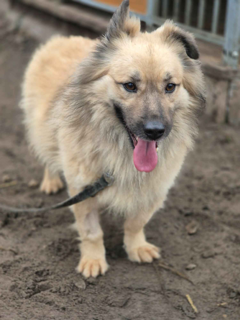 Maniuś – mały promyk radości szuka domu Olsztyn - zdjęcie 4