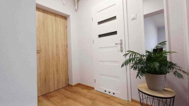 1pok, 30met, okolice Sienkiewicza PO REMONCIE (Wrocław) Śródmieście - zdjęcie 7