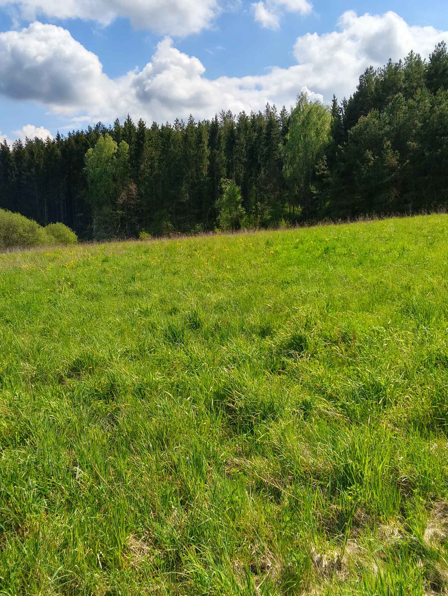 Działki Kętrzyn - zdjęcie 4
