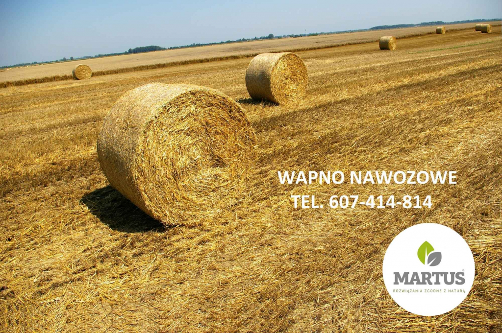 Wapno węglanowe z Kopalni Wapienia Morawica Radziejów - zdjęcie 1