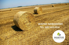 Wapno węglanowe z Kopalni Wapienia Morawica