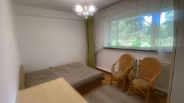 2pok, 40met, okolice Ametystowej OGRÓD (Wrocław) Krzyki - zdjęcie 1