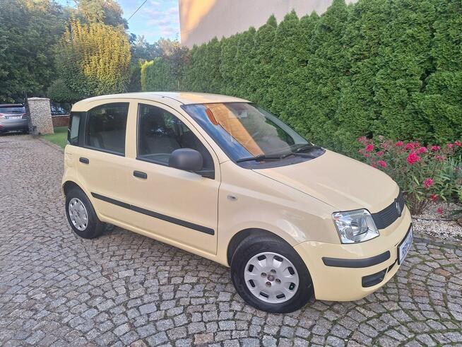 Fiat Panda Classic Siewierz - zdjęcie 4