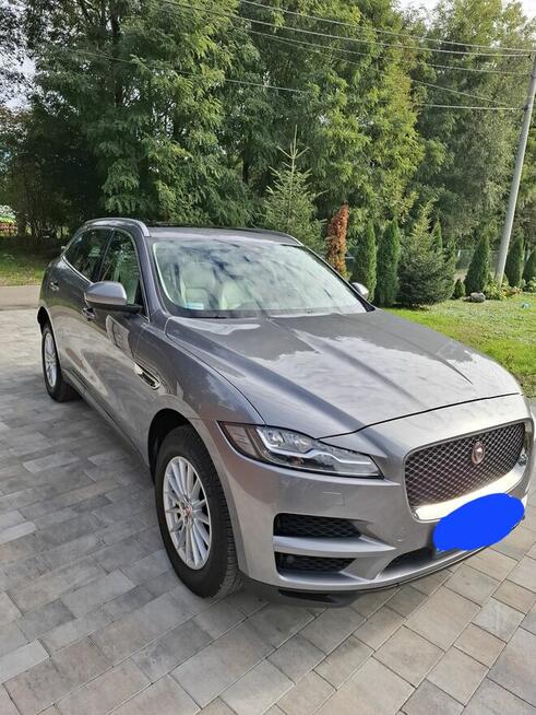 Sprzedam Wołowice - zdjęcie 4