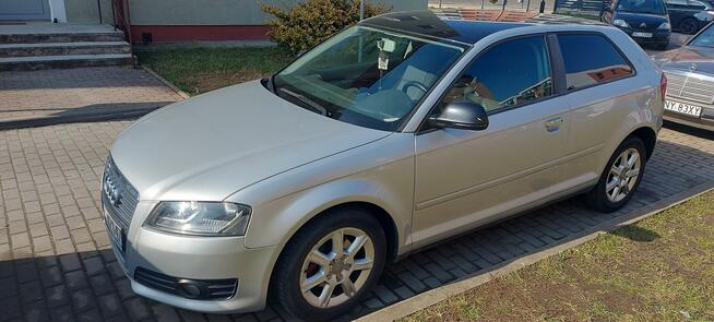 Audi A3 8P 1.6 TDI 2010 Nysa - zdjęcie 1