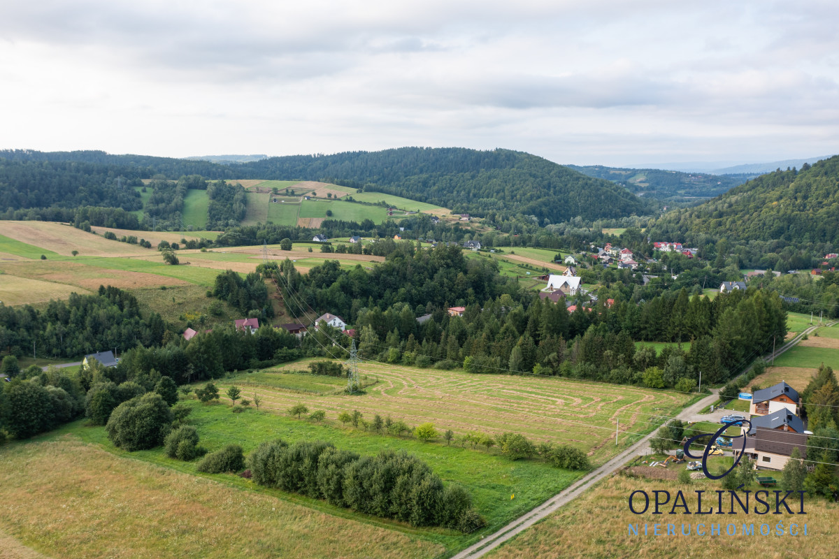 Panorama | Zacisze | Odetchnij w Bieszczadach Bukowiec - zdjęcie 6