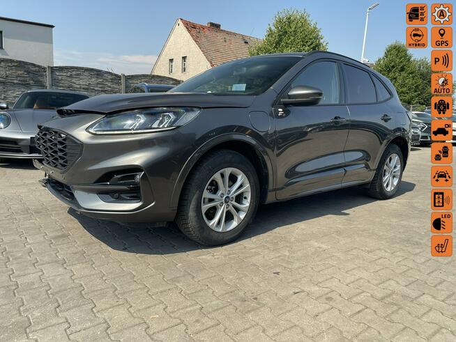 Ford Kuga ST Line Hybryda Plug IN Automat Skóra Podgrzewanie 225KM Gliwice - zdjęcie 1
