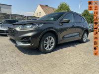 Ford Kuga ST Line Hybryda Plug IN Automat Skóra Podgrzewanie 225KM