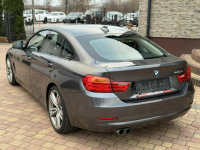 BMW 420 Sadlno - zdjęcie 10