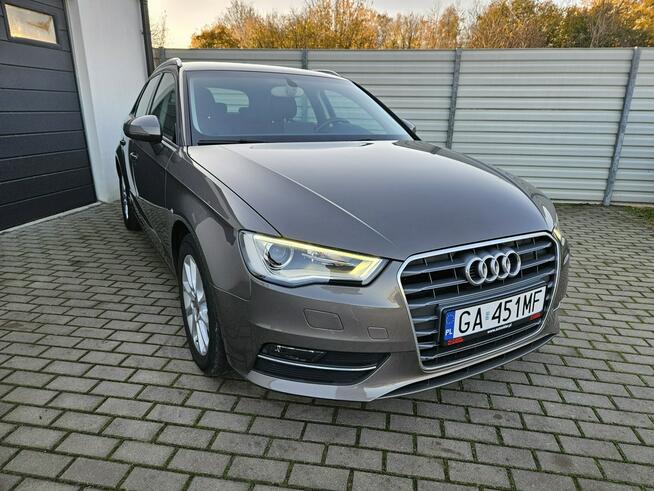 Audi A3 1.4 TFSi 125KM xenon BEZWYPADEK 5 drzwi ZADBANY BDB stan Gdynia - zdjęcie 5