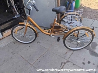 Serwis Mobilny Rowery Trójkołowe Cargo MTB Gravel Naprawa Konstancin-Jeziorna - zdjęcie 4