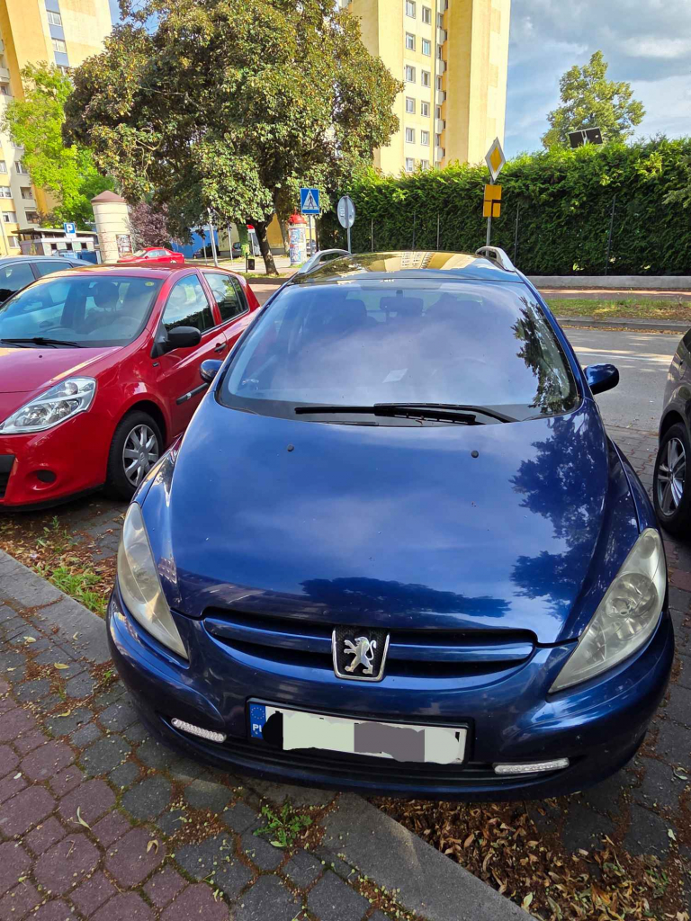 Peugeot 307 SW Puławy - zdjęcie 1