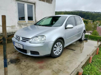 Volkswagen Golf V 1.9 TDI Niebocko - zdjęcie 1