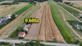 Tarnawa Duża – ponad 60 arów przy asfalcie, z warunkami na prąd i wodę Turobin - zdjęcie 5