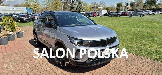 Opel Grandland SALON-BEZWYPADKOWY-BOGATA WERSJA Paproć - zdjęcie 1