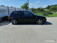 Vw Golf 4 1.6 SR 1999 Sicienko - zdjęcie 7