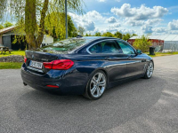BMW 420 Sadlno - zdjęcie 2