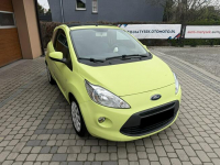 Ford KA 1,2 69KM  Klimatronik  Panorama Orzech - zdjęcie 3