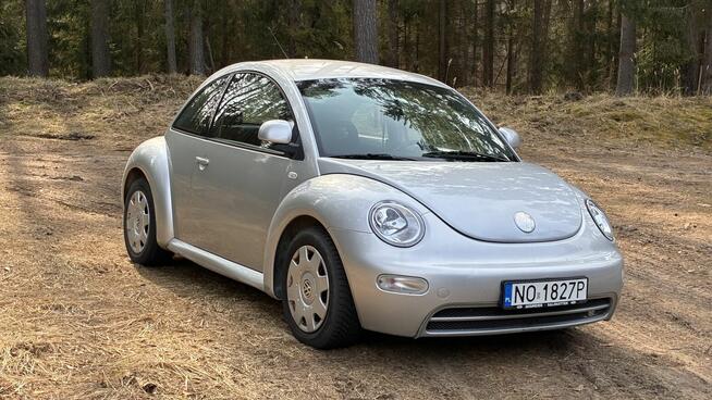 New Beetle Olsztyn - zdjęcie 5