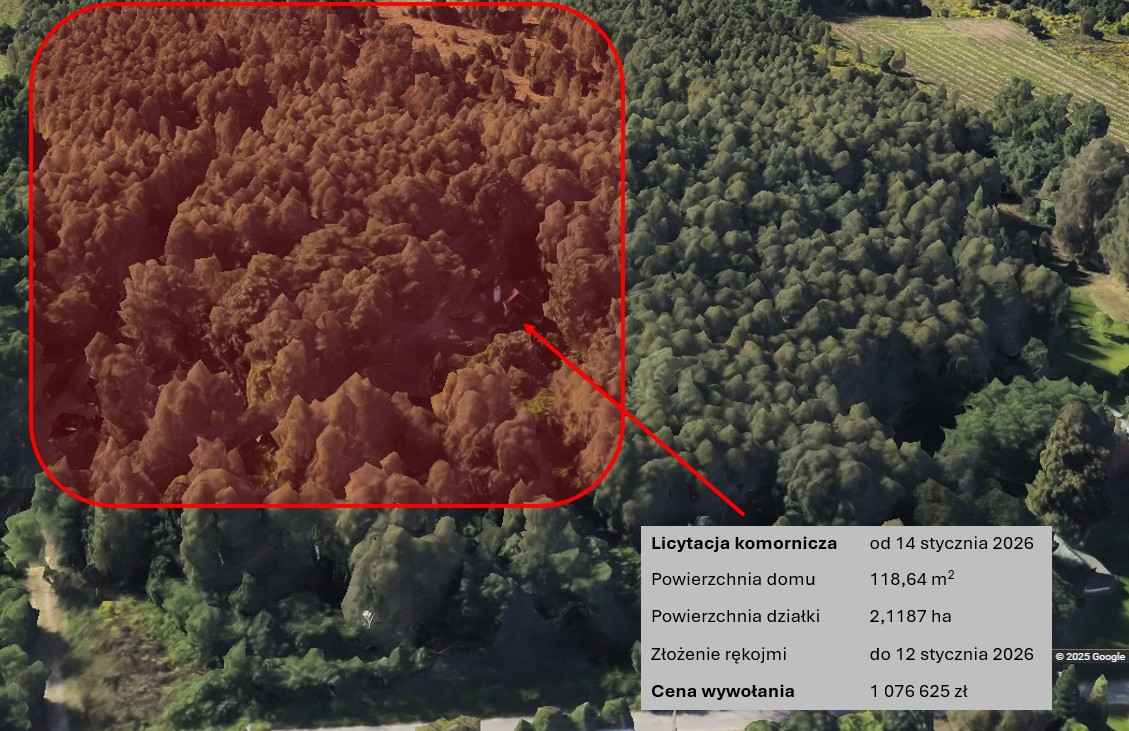 Blisko Łodzi, las, ogromna działka, licytacja komornicza Plichtów - zdjęcie 2