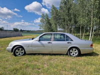 Mercedes-Benz S 500 W140 1995 5.0 V8 320 KM Sulechów - zdjęcie 4