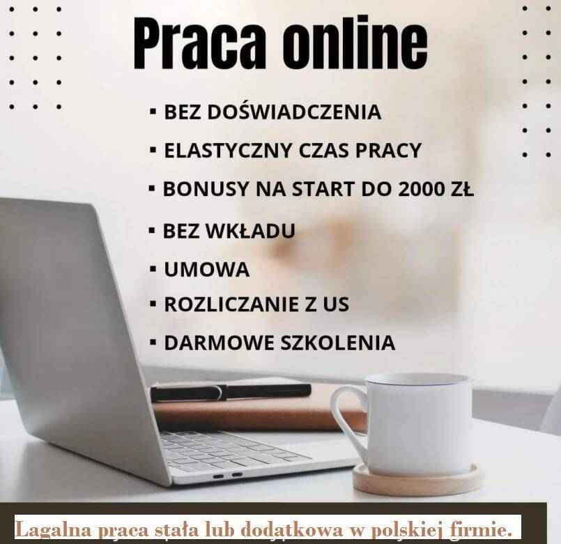 Praca stała lub dodatkowa zdalna, w domu, przez internet Jeżyce - zdjęcie 1