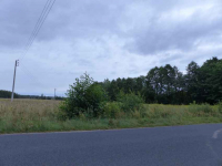 Działki rolno-budowlane razem 8,85ha Małomin - zdjęcie 3