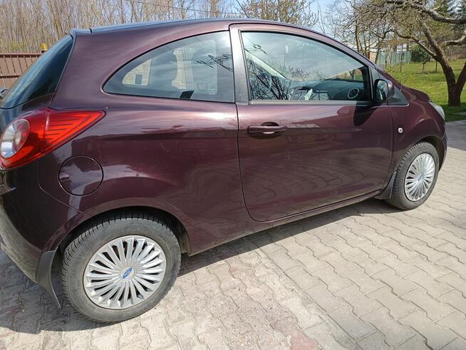 Ford KA 1.2 Oryginalny lakier mały przebieg Szydłowiec - zdjęcie 6