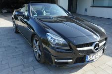 Mercedes-Benz SLK 350, salon PL, bezwypadek, 14000 km przeb. Katowice - zdjęcie 5