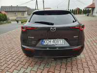 Mazda CX-30 Radar, Bliss, Kamera ,Hedup,El.Klapa, As. Park. GWARANCJA Zagórze - zdjęcie 6