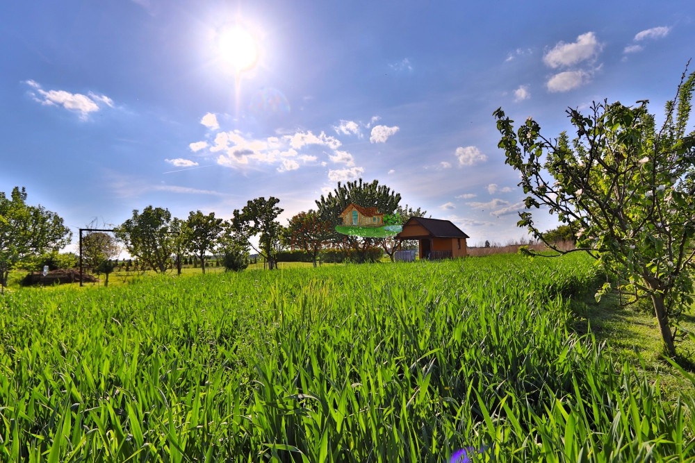 działka 5ar z altaną, zadbana, z drzewami owocowym Jędrzychowice - zdjęcie 4