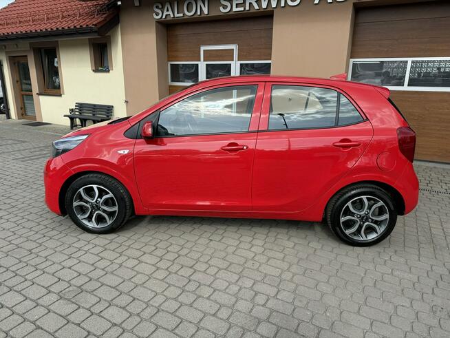 Kia Picanto 1,0 67KM  Klimatyzacja  Kamera  CarPlay Orzech - zdjęcie 11