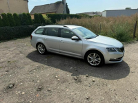 Škoda Octavia Kombi 2.0 TDI 150 KM DSG, 2019 Ostrów Wielkopolski - zdjęcie 7