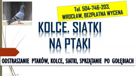 Odstraszanie gołębi, Wrocław, tel. 504-746-203. Płoszenie ptaków, cena Psie Pole - zdjęcie 3