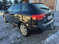 Audi A3 1,6Benzyna.Klimatronic 2 str.Tempomat.Alu.Hak.Serwis Kutno - zdjęcie 12