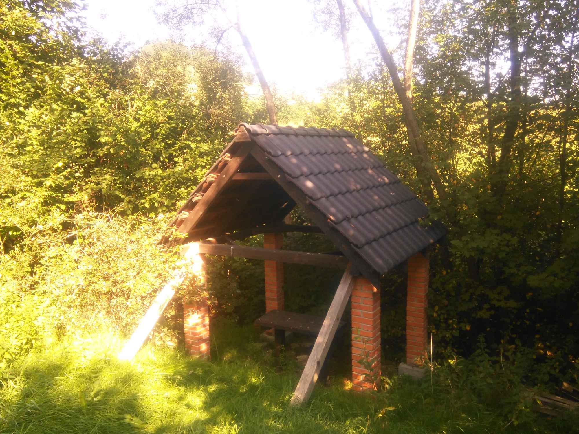 Dachy Żory - zdjęcie 4
