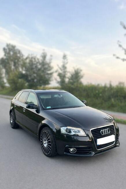 Audi A3 8P 2.0 TDI 140KM 2011, bogata wersja Kraśnik - zdjęcie 1