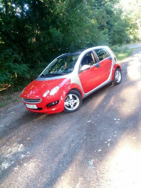 Auto miejskie Gubin - zdjęcie 1