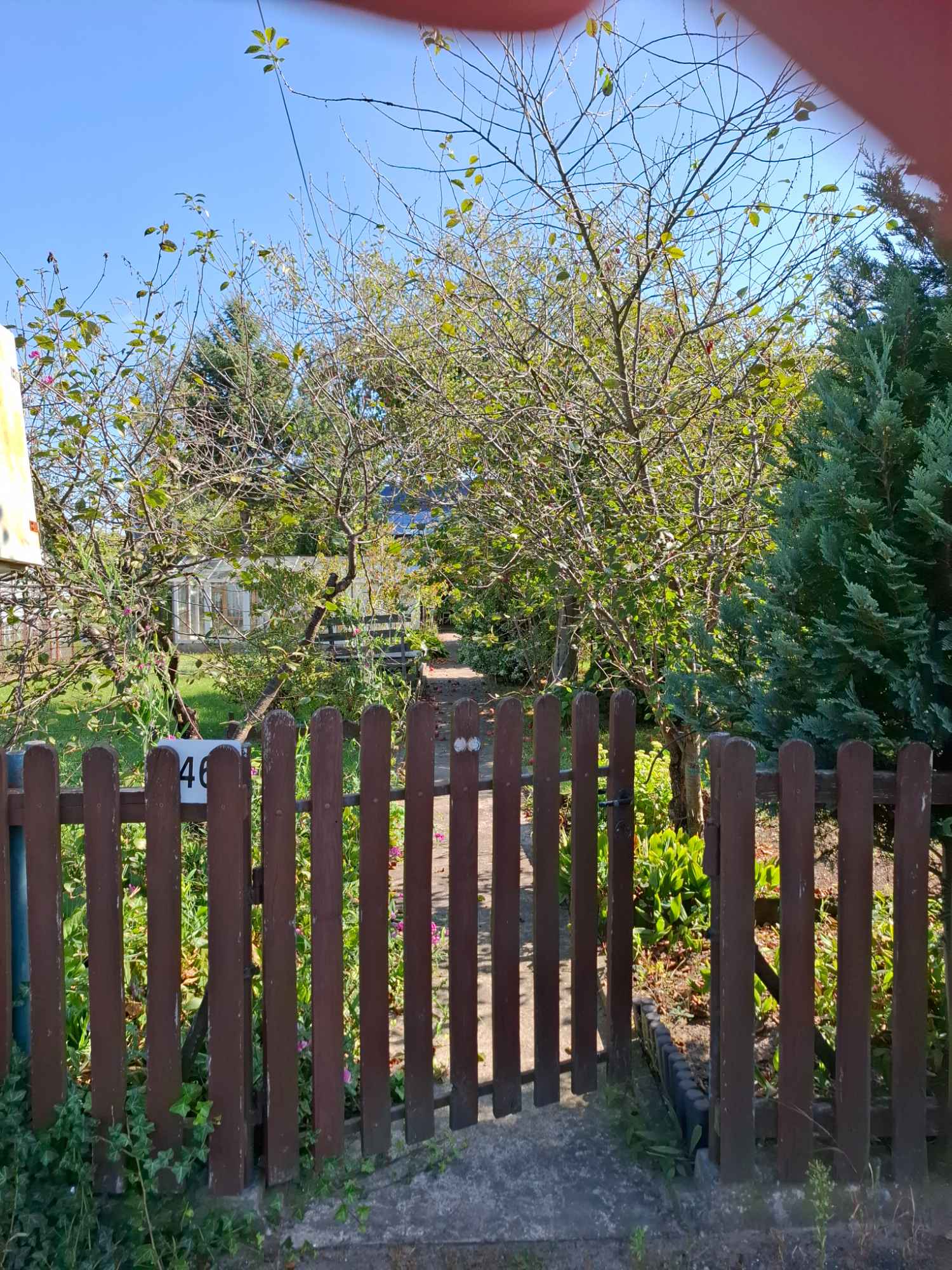 Działka ROD, ul Warzywna Pabianice - zdjęcie 6