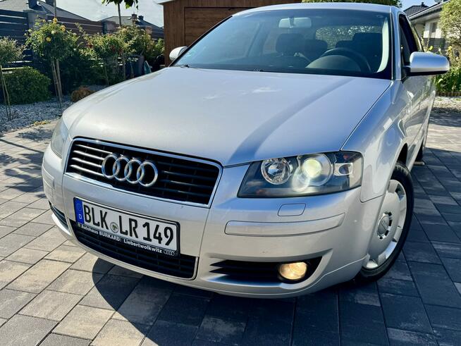 Audi 3 1,6 mpi 102 Konie Xenon tylko 155 tys km Śliczna ! Szerominek - zdjęcie 4