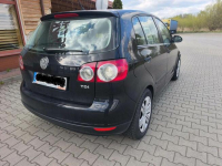 Golf Plus 1.9 TDI Pyrzowice - zdjęcie 2