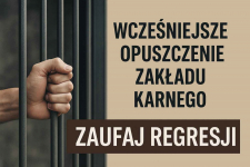 Odzyskaj  prawo jazdy. Skutecznie, legalnie Podgórze - zdjęcie 7