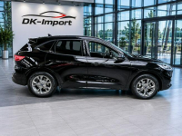 Ford Kuga Sadlno - zdjęcie 4
