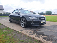 Audi a5 cabrio 2.0 tdi Grudziądz - zdjęcie 3