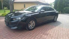 Peugeot 508 Mały przebieg. Stan bdb. Promocja cenowa do końca miesiąca Płońsk - zdjęcie 11