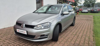 Volkswagen Golf Paproć - zdjęcie 3