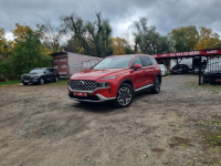 Hyundai Santa Fe Salon PL I WŁ - PLATINIUM - Faktura Vat Szczecin - zdjęcie 2