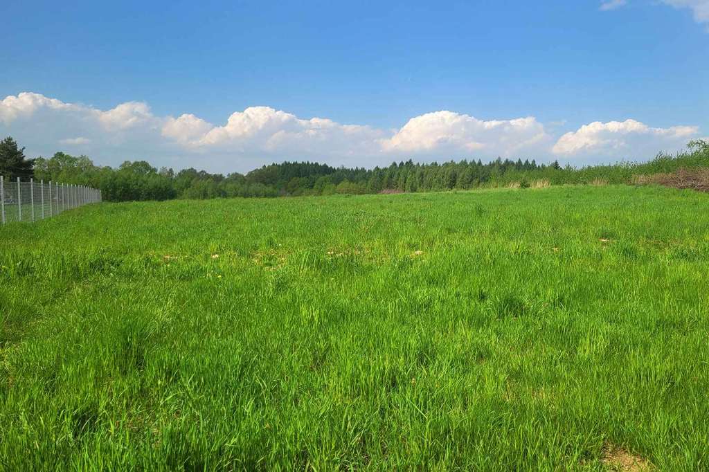 Działka budowlana w Centrum Dominikowic (w.małopolskie) Dominikowice - zdjęcie 1